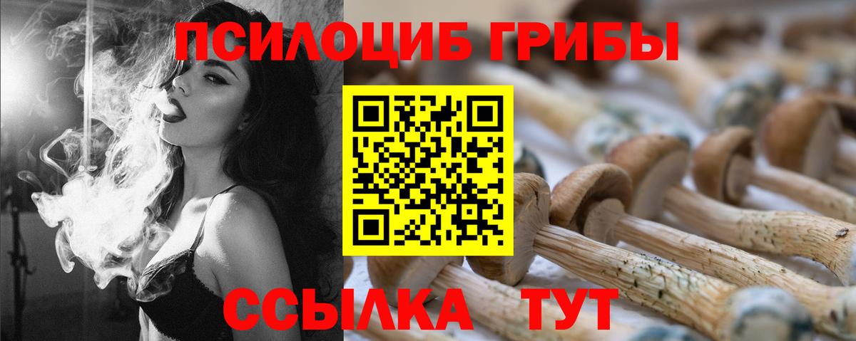 Псилоцибиновые грибы мицелий Муром